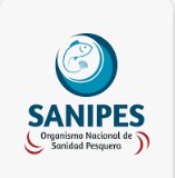 WhatsApp-Image-2024-01-08-at-2.42.34-PM